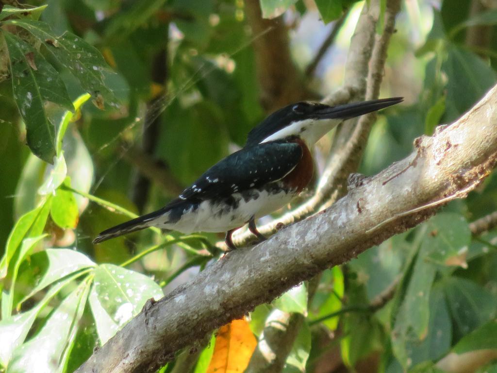 Finca La Magia Villa Ometepe Kültér fotó