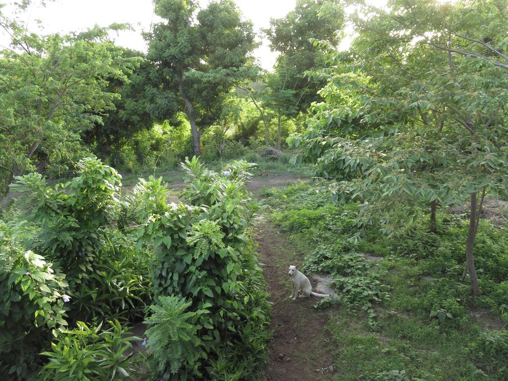 Finca La Magia Villa Ometepe Kültér fotó